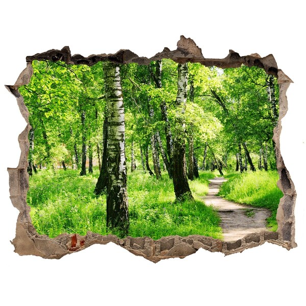 Hole in the wall sticker Green forest in the sunlight