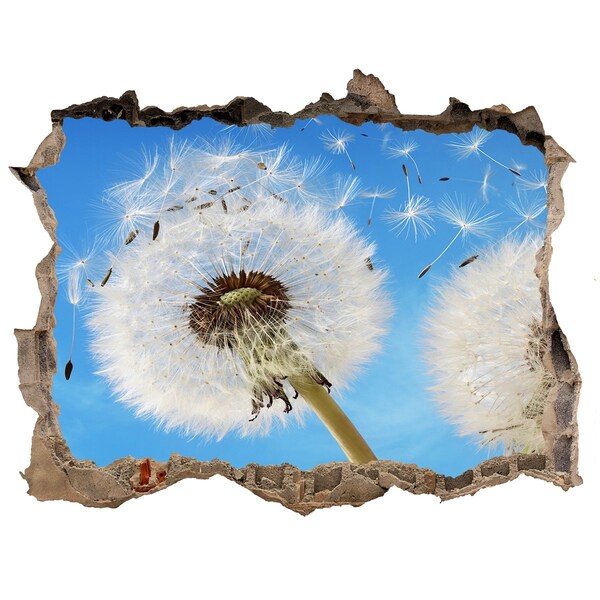 Hole in the wall sticker Dandelions in the blue sky