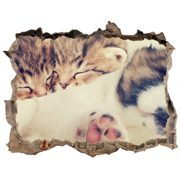 3D wall hole wallpaper Cute kittens in a hole in the wall