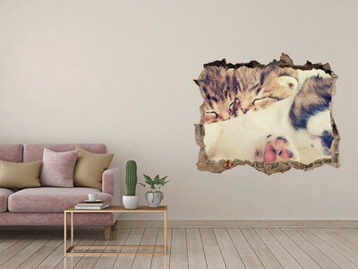 3D wall hole wallpaper Two cats and a dog