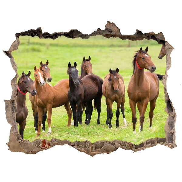 Hole in the wall sticker A herd of horses in the pasture