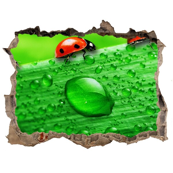 3D wall hole wallpaper Ladybugs on the grass