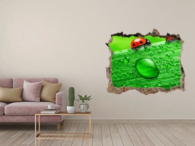 3D wall hole wallpaper Ladybugs on the grass