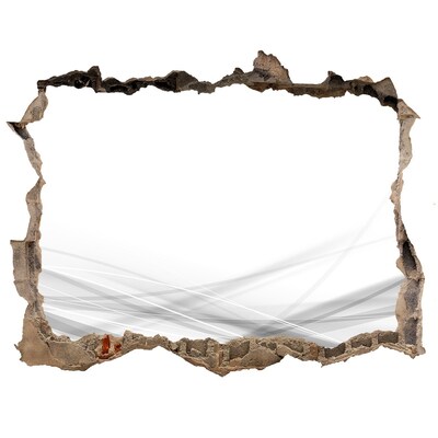 Hole in the wall sticker A ruined wall overlooking the space