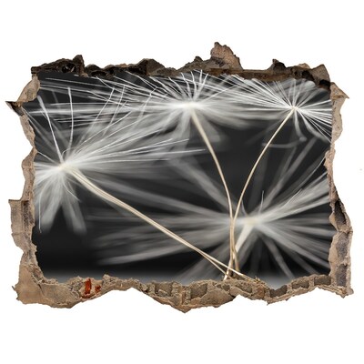 3D wall hole Dandelion flowers in concrete