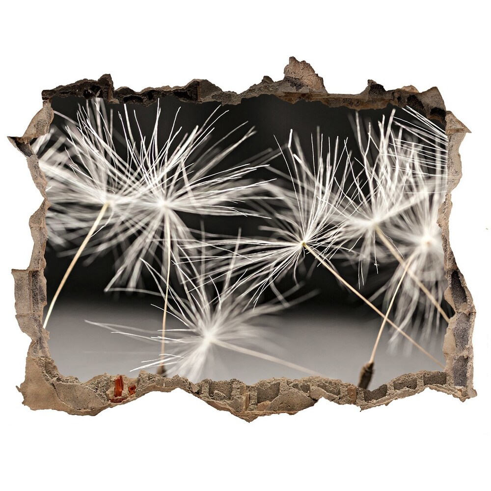 Hole wall sticker Dandelion seeds