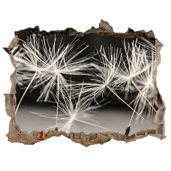 Hole wall sticker Dandelion Dream