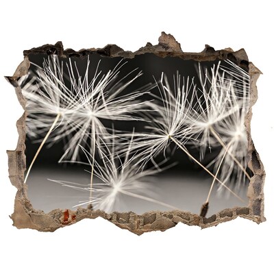 Hole wall sticker Dandelion Dream