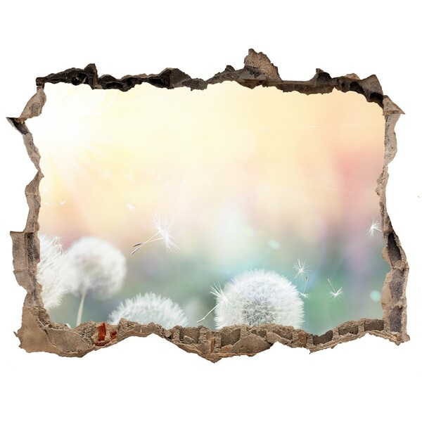 Hole wall sticker The floral world behind the hole