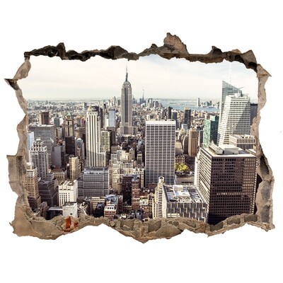 3D wall hole View of New York