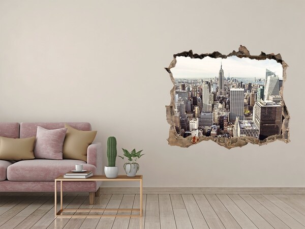 3D wall hole View of New York
