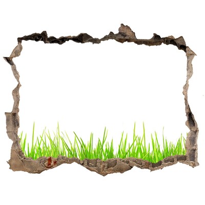 3D wall hole wallpaper brick hole grass