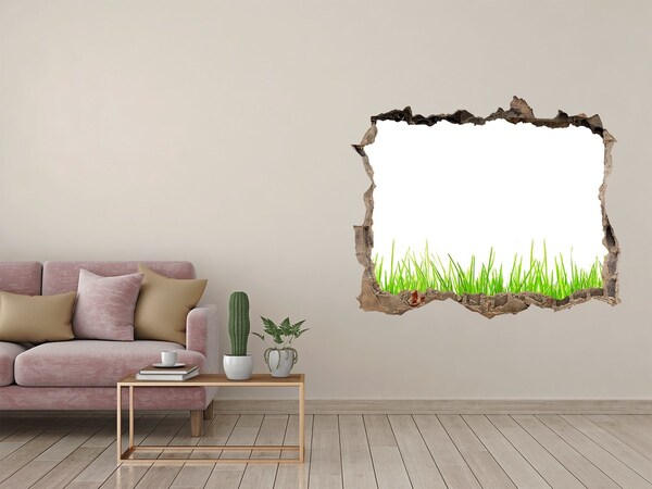 3D wall hole wallpaper A green meadow behind the wall