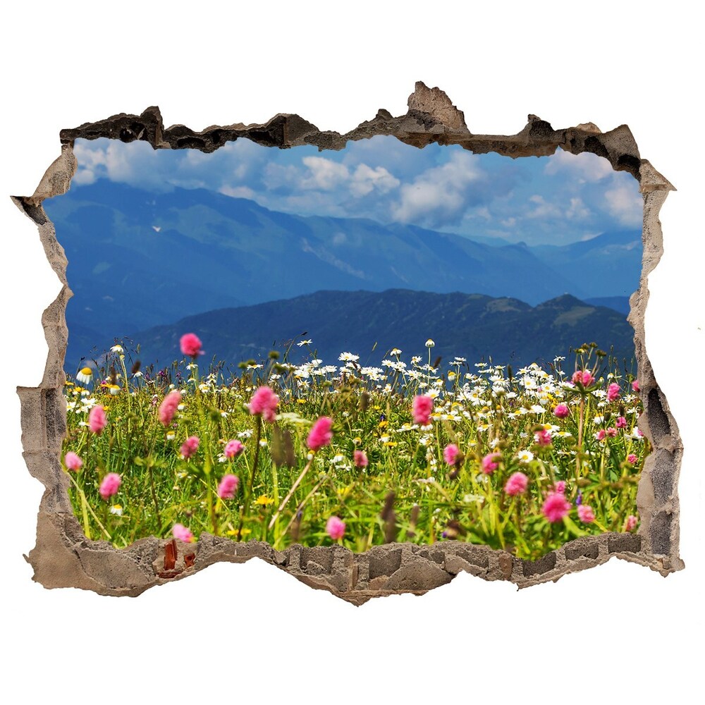 Hole in the wall decal Meadow in the mountains