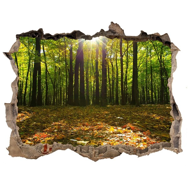 Hole in the wall decal A forest oasis in the sunshine