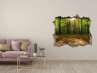 Hole in the wall decal A forest oasis in the sunshine