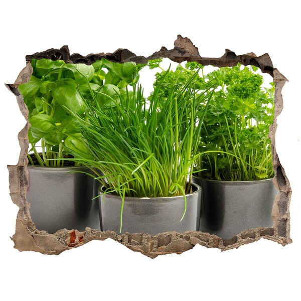 Hole in the wall decal Green garden in pots