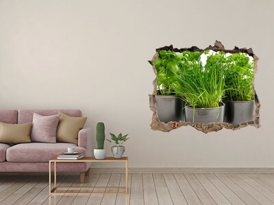 Hole in the wall decal Green garden in pots