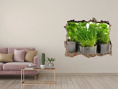 Hole in the wall decal Herbs in pots