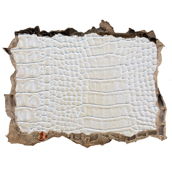 Hole in the wall decal Crocodile skin