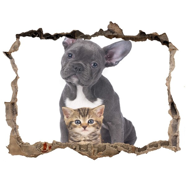 Hole wall sticker Dog and cat