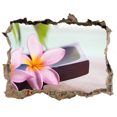 3D wall hole Plumeria