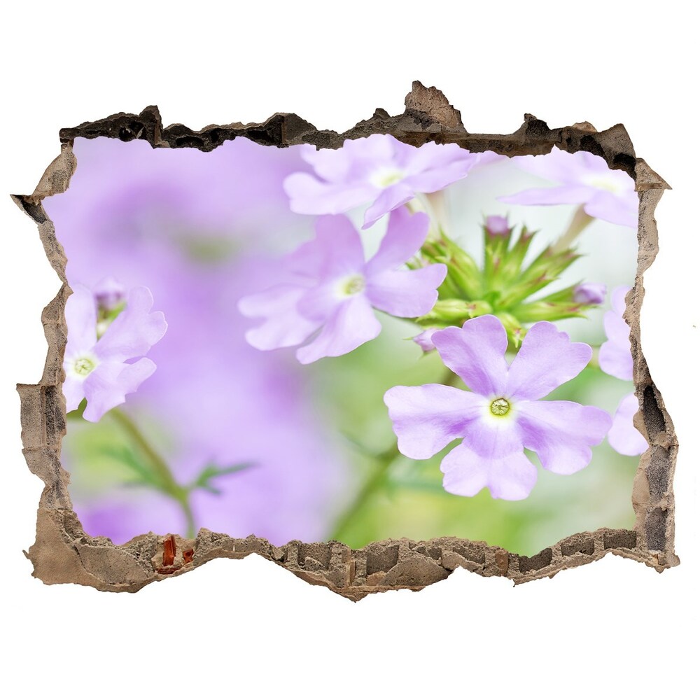 3D wall hole Verbena