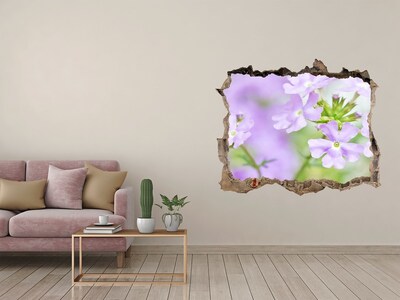 3D wall hole Verbena