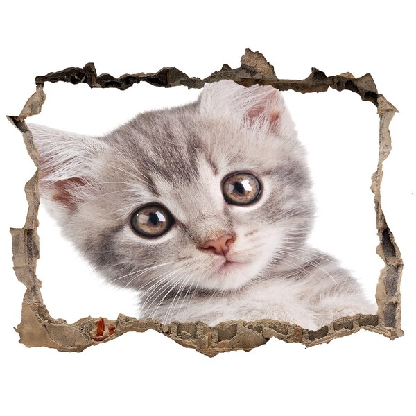 Hole wall sticker Gray cat