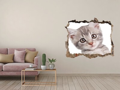 Hole wall sticker Gray cat