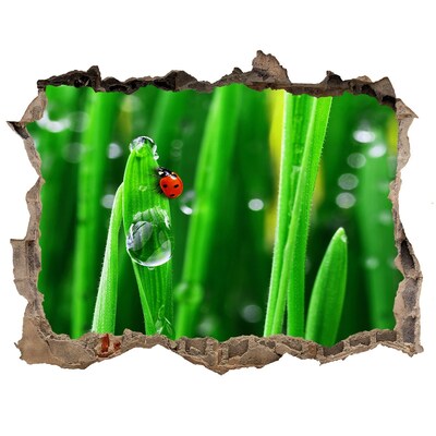 Hole wall sticker A dewdrop on the grass with a ladybug
