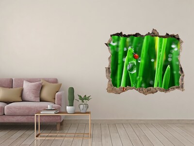 Hole wall sticker A dewdrop on the grass with a ladybug