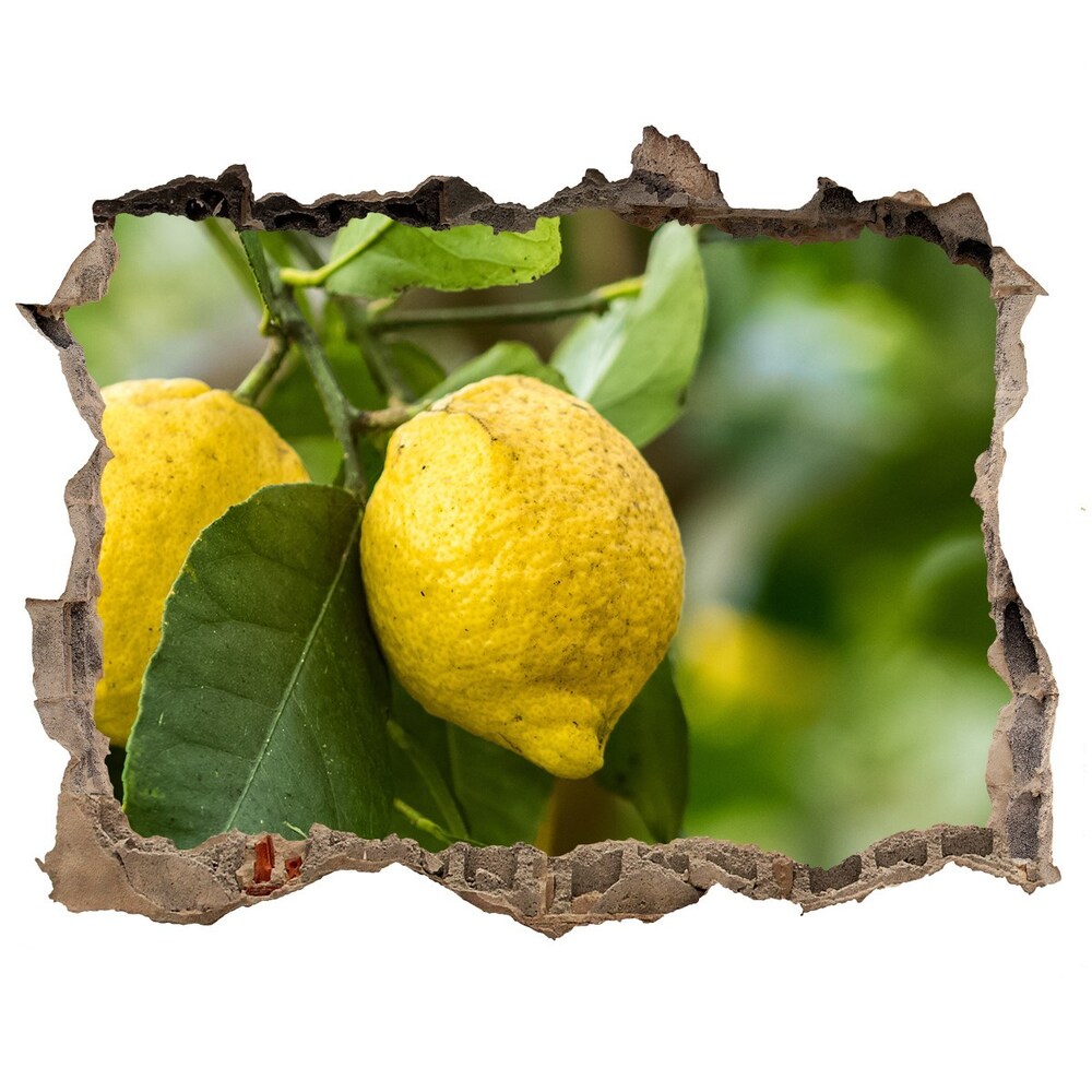 3D wall hole Lemons on a tree