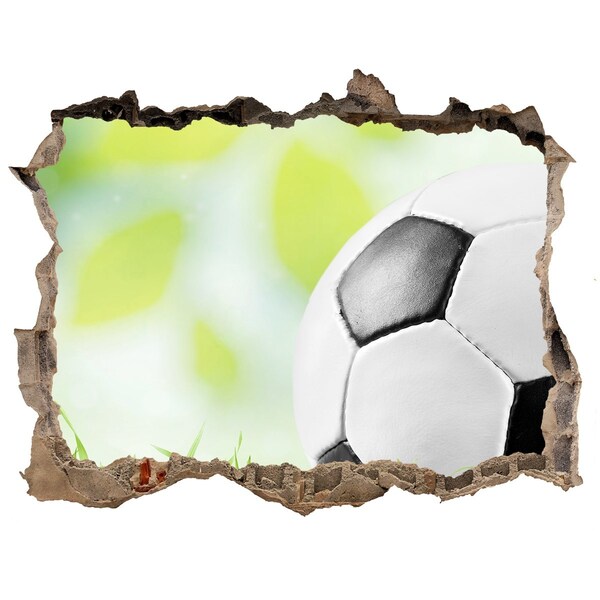 3D wall hole Football dreams