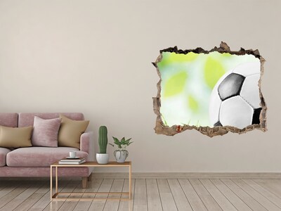 3D wall hole Football dreams