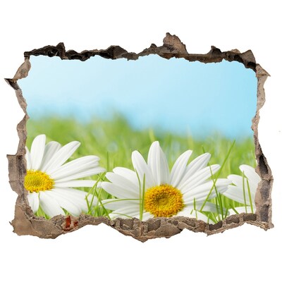 Hole wall sticker Flowers in a green meadow