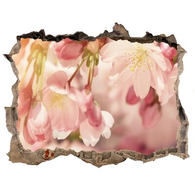 Hole wall sticker Cherry blossoms