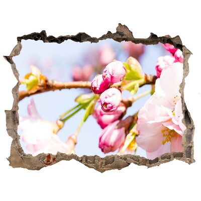 Hole in the wall decal Cherry blossoms in spring