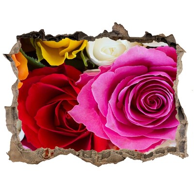 Hole in the wall decal Colorful roses