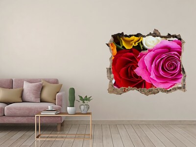 Hole in the wall decal Colorful roses