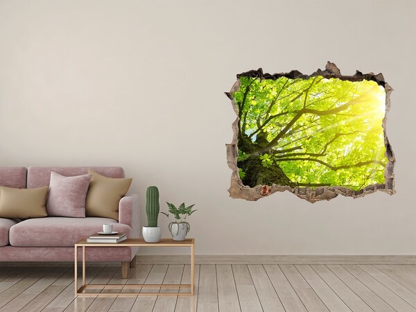 3D wall hole wallpaper Green forest in the sun's rays
