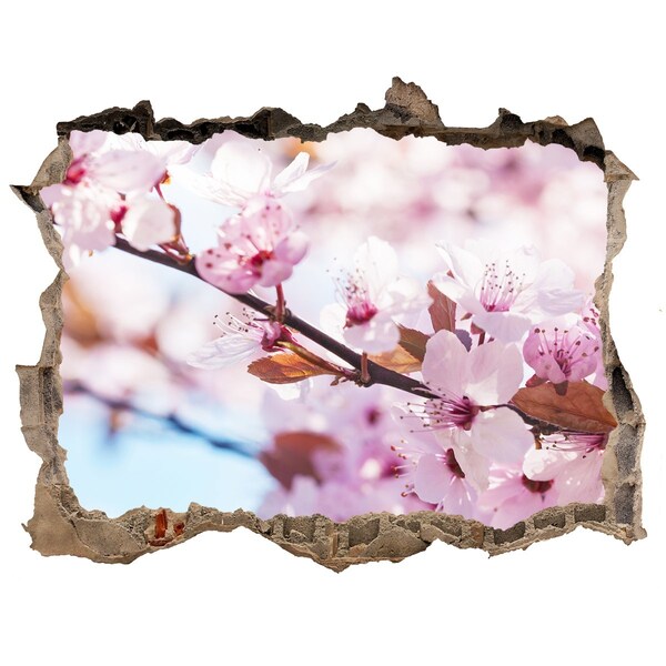 3D wall hole Cherry blossoms