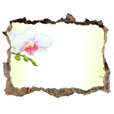 Hole wall sticker Orchid flowers in the bamboo garden