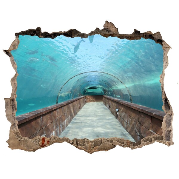 Hole wall sticker Underwater tunnel in the ocean