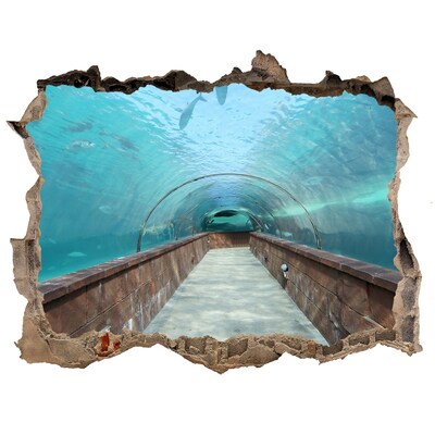 Hole wall sticker Underwater tunnel in the ocean