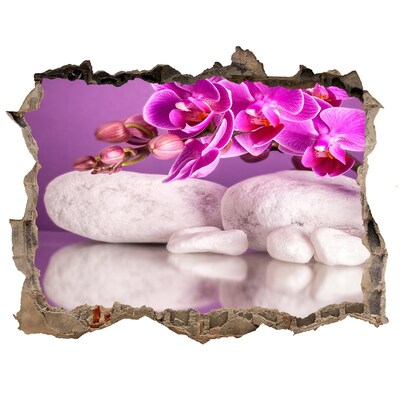Hole in the wall decal Orchid on a background of stones