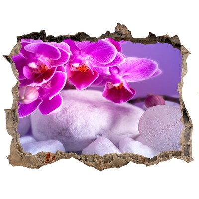 Hole in the wall decal Flower paradise with stones