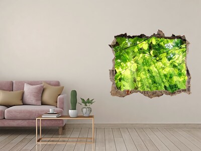 Hole in the wall decal Green forest in the sun's rays