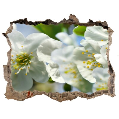 Hole in the wall sticker Cherry Blossom