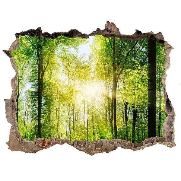 Hole in the wall sticker Green forest with sun rays